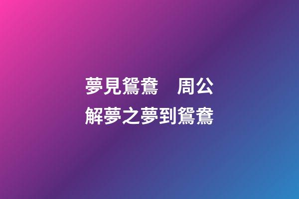 夢見鴛鴦　周公解夢之夢到鴛鴦